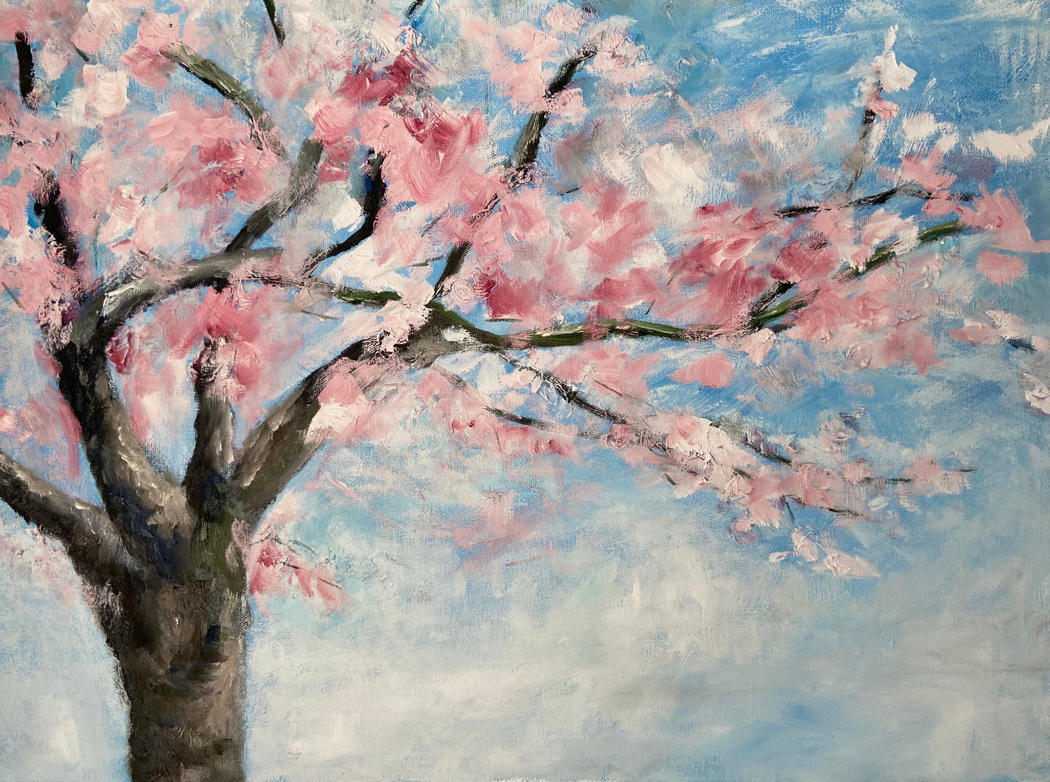 Cherry Blossoms – kelly dejong